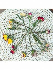 متعدد الألوان (3 أنواع من الزهور على الأقل)