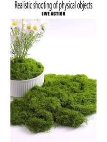 Simulated Moss And Moss Landscaping, Biomimetic Artificial Turf, Micro Landscape Arrangement, Decoration, Lawn Potted Bonsai