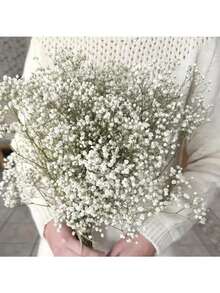 White Green (gypsophila)