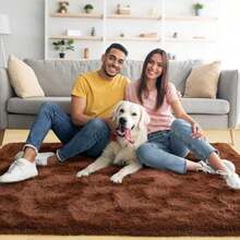 Carpets - Type13 - View 2