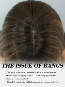 NICKY WALL Elegant-24 Inch Layered Flax Brown Wigs For Women,Long Straight Wigs With Curtain Bangs, High Density Fluffy Synthetic Heat Resistant Fiber Hair Wig For Daily Party Wear, Music Festival Party Use - 亞麻棕 - 查看 8