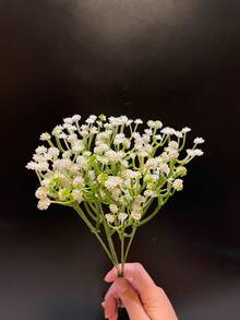 40 件/20 件人造花满天星花假满天星、玫瑰满天星人造花满天星植物满天星花满天星人造花束满天星人造花用于婚礼新娘花束家居工艺品装饰、婚礼派对家居装饰花艺花束 DIY 配件、情人节、礼物生日毕业-塑料花！！ - 彩色 - 查看 17