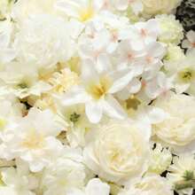 100 bông hoa giả màu ngà, thích hợp cho đám cưới, ngày lễ tình nhân, Giáng sinh! Có thể dùng làm bó hoa cưới trong đám cưới để chứng kiến hạnh phúc; trang trí quà tặng ngày lễ tình nhân để thể hiện tình yêu; trang trí cây thông Noel, lò sưởi cho Giáng sinh - cũng có thể tự làm thành vòng hoa, bó hoa và đồ trang trí để tăng thêm sự lãng mạn cho nhiều dịp lễ hội khác nhau. - trắng - Xem 3