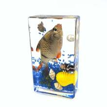 50+ Pcs Large (7.3cm) Transparent Resin Insect Stag Beetle, Spider, Scorpion, Rhinoceros Beetle, Hornet, Wasp Model, Spider Octagon Monster Creative Bookend Decor, Primitive Forest Giant Arthropod Centipede Model, Magical Nature Real Rare Various Insects, High Transparency Permanent Preserved Transparent Resin Natural Insect Creative Small Decor, Gift - Multicolor - View 47