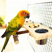 1 Set DIY Assembled Wood Budgie And Cockatiel Bird Feeder With Stand And Single/Double Stainless Steel Feeding Cup Solid Wood Bird Platform Bird Food Box Parrot Feeders Bird Stand Wooden Claw And Beak Sharpener Parrot Toy Bird Cage Accessories Bird Supplies - 彩色 - 查看 5