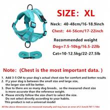 Reflective Pet Harness And Leash Set For Dog & Cat, Escape Proof Adjustable Small Dog Harness With Soft Mesh