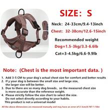 反光寵物背帶和皮帶套裝,適用於狗和貓,防逃可調式小型犬背帶,附軟網布