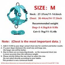 Reflective Pet Harness And Leash Set For Dog & Cat, Escape Proof Adjustable Small Dog Harness With Soft Mesh