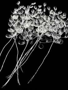 20/30/50颗透明水晶吊坠装饰 - 水滴形水滴串饰，配有透明水滴珠子 - 耐用塑料材质，适用于室内/室外圣诞树、窗户、家居装饰 - 优雅的水滴形吊链，适合冬季和新年 - 無色 - 查看 1