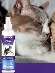 Spray de menta para cães e gatos, desodorizante, adestramento, limpeza e cuidados. O spray de menta para gatos pode aliviar o estresse, acalmar e restaurar. Suprimentos para animais de estimação/Produtos de limpeza para animais de estimação/Banheiro para animais de estimação Suprimentos para animais de estimação/Produtos de limpeza para animais de estimação/Suprimentos para animais de estimação/Suprimentos para animais de estimação/Acessórios para limpeza de animais de estimação Suprimentos para animais de estimação/Suprimentos de limpeza para animais de estimação/