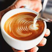 Mushroom Coffee | 100g/3.53oz 20bags |Focus Coffee| Cognitive Elevation | Enhances Mental Performance And Memory Retention With Lion's Mane And Chaga, Supports Natural Energy Production And Stress Resilience, Smooth Rich Flavor With Health Benefits | Ideal For Large Conferences And Team Building Events - Multicolor - View 6