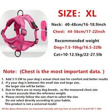 Reflective Pet Harness And Leash Set For Dog & Cat, Escape Proof Adjustable Small Dog Harness With Soft Mesh all-season - Hot Pink - View 16
