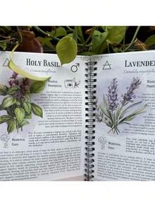 1 Pc 13-Page Minimalist Design, Vintage Apothecary-Style Medicinal Herb Record Book. Green Cover Paired With 27 Botanical Illustrations-The Ultimate Collection Workbook For Herbal Enthusiasts. Holds The Secrets Of Herbs, Allowing You To Record Plant Information And Uses. Spiral Binding Ensures Smooth Page-Turning. Perfect For Daily Reference And Organizing Herbal Knowledge-Stylish And Practical. - màu xanh lá - Xem 4