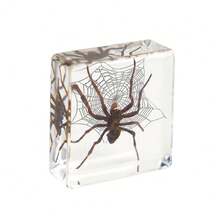 1pc Resin Insect Animal Bookend, Over 100 Unique Beetle, Spider, Scorpion, Ant, Ladybug, Grasshopper, Octopus, Butterfly, Dragonfly, Rhinoceros Beetle, Bee, Dung Beetle, Firefly Insect Model Collection, Craft, Educational Display - 3.8cm Square Insect Specimen - View 9