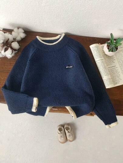 1 件儿童秋季新款圆领厚针织套头衫，男童年轻刺绣标志灰色休闲针织上衣