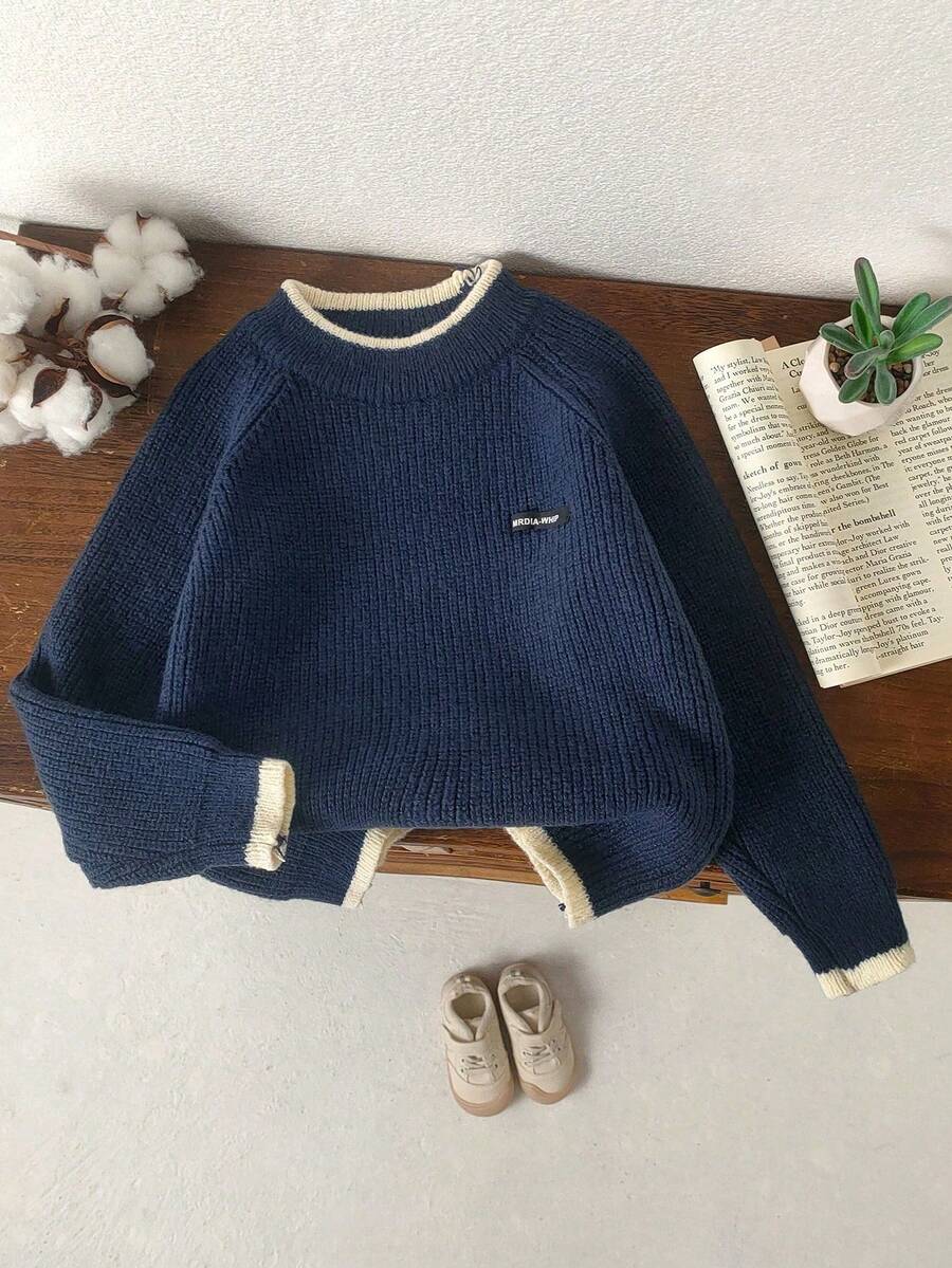 1 件儿童秋季新款圆领厚针织套头衫，男童年轻刺绣标志灰色休闲针织上衣