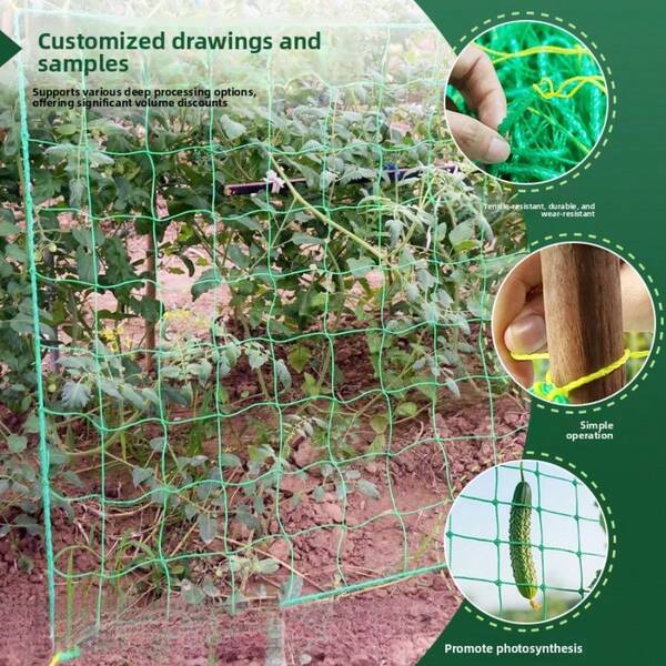 CTSZOOM Rede de treliça verde, grade de suporte para trepadeiras de pepino, rede anti-vento e anti-tombamento para flores.