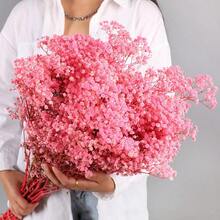 50/100/300 件天然保鲜满天星干花 - 优雅持久的满天星，适用于家庭、办公室、婚礼、圣诞节、万圣节派对、DIY 工艺，免维护，适合 14 岁以上（无纸卡） - 粉色 - 查看 12