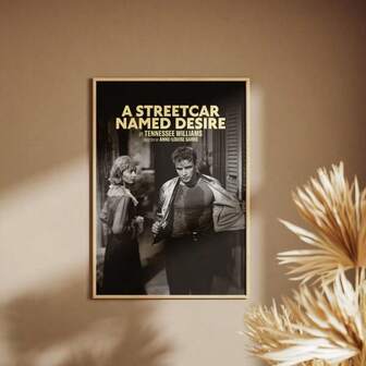 1 Pc A Streetcar Named Desire Vintage Film Poster, Nostalgic Canvas Print Poster, Gift For Her, Wall Art, Gift For Him, Modern Frameless Home Wall Decor