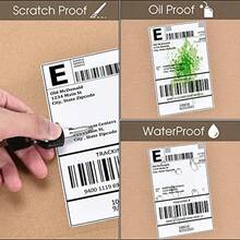 Pacific Mailer 4" X 6" Thermal Labels Direct Shipping Labels For Thermal Label Printer Perforated And Strong Adhesive Pack Of 500 - White - View 6