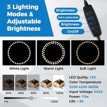 Photo Light Box, 12/16/20/24/32 Inch Photography Light Box With CRI>95 120 Light Beads. Dimmable Shooting Tent Kit With White And Warm Light. 6 Color Backdrops Photo Booth For Studio Products Display{Inchsize_nameinch:Inch12\Inchx12\Inchinch} - 12英寸x12英寸 - 查看 4
