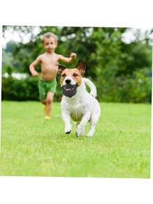 1pc Durable Puppy Teething Toy, Interactive Tire Chew Toy With Elastic Anti-Bite Design And Colorful Dots, Suitable For Teeth Training And Play Time, All Breeds And Sizes, Teething Toy, Interactive Dog Toy, Durable Dog Toy. Sound Dog Chewing And Tough Anti-Bite Design, Dental Training And Play Time, Teething Puppy Toy, Interesting Design, Sturdy Structure, No Battery