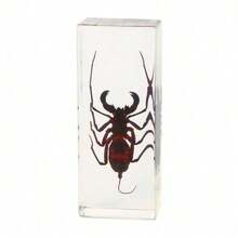 1 件大型盒装昆虫标本套装，包括真正的 8 条腿巨型蜘蛛、蝗虫、竹节虫、螳螂、甲虫、螃蟹、千足虫和巨型蝎子树脂水晶工艺品，50 多个永久保存的巨型蜈蚣有毒动物模型