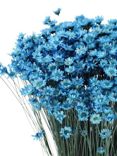 30/60/100/200Pcs,Stems Natural Dry Flowers, Brazilian Small Star Daisy Decorative Dried Flowers, Mini Daisy Chamomile Bouquet For Wedding Floral Arrangements Home Decorations Valentine's Day Gifts