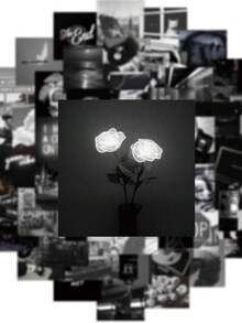 50/150pcs Black & White Artistic Photo Stickers, K-Pop Style, Waterproof PVC Material, Suitable For Helmet Decoration, Car Decoration, Party Decoration, Labels, Self-Adhesive Stickers, Applicable To Scrapbooks, Laptops, Luggage, Guitars, Water Bottles, Phone Cases, Office Decor - Multicolor - View 3