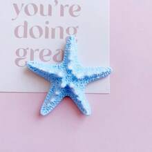 8 件/4 件什锦海洋系列海星、贝壳、海胆装饰、家居装饰、鱼缸装饰、礼物、DIY 手机壳/饰品/钥匙扣/发夹、各种手工工艺品用品，颜色随机 - 1件 - 查看 15