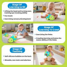 Juguetes para bebés de 0 a 6 meses, juguete musical de tortuga para gatear, juguete de tortuga con luces y sonidos para todo uso, juguetes educativos y de desarrollo, adecuados para niños y niñas de 0 a 1 año - Verde - Ver 12