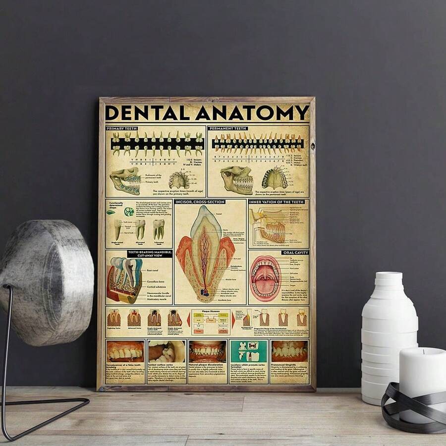 1pc Dental Anatomy Canvas Wall Art Poster - Unframed Educational Dental Illustrations For Medical Professionals, Detailed Tooth Structure And Oral Health Chart For Classroom Decor - Multicolor - View 1