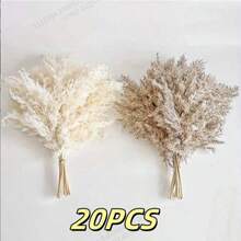 20/30 piezas Ramo de Hierba de las Pampas Seca, Flores Blancas, Ramo de Estilo Bohemio para Decoración del Hogar, Flores Secas de Junco, Decoración de Habitación, Decoración del Hogar, Decoración de Dormitorio, Decoración de Boda, Suministros de Boda, Decoración de Oficina, Decoración de Cafetería, Regalo del Día de San Valentín | Halloween, Navidad, Decoraciones Navideñas, Decoración de Habitación, Decoración de Dormitorio, Regalo