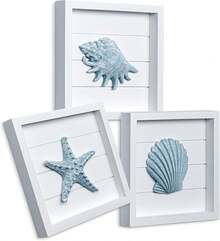 Blue Seashells And Starfish (Framed Set Of 3) Coastal 3D Wall Art, 2025  Beach Wall Decor For Bathroom Or Coastal Bedroom, Ocean Inspired Seaside Decorations For Home Or Beach House (7"X7") - 貝殼 - 灰藍色 - 查看 7