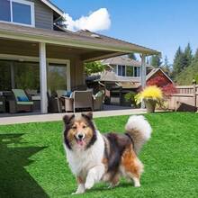 نجيلة اصطناعية للحيوانات الأليفة، مقاومة للروائح وسهلة التنظيف، خاصة لمناطق نشاط الكلاب والقطط، حصيرة نجيلة اصطناعية ناعمة للحيوانات الأليفة، عشب اصطناعي مقاوم للماء، مناسب لحمام الحيوانات الأليفة والملعب، نجيلة اصطناعية للحيوانات الأليفة متينة، عشب خارجي مقاوم للطقس، خاص لمنطقة الكلاب والفناء الخلفي، نجيلة اصطناعية صديقة للحيوانات الأليفة عالية الكثافة