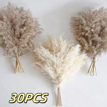 20/30 piezas Ramo de Hierba de las Pampas Seca, Flores Blancas, Ramo de Estilo Bohemio para Decoración del Hogar, Flores Secas de Junco, Decoración de Habitación, Decoración del Hogar, Decoración de Dormitorio, Decoración de Boda, Suministros de Boda, Decoración de Oficina, Decoración de Cafetería, Regalo del Día de San Valentín | Halloween, Navidad, Decoraciones Navideñas, Decoración de Habitación, Decoración de Dormitorio, Regalo