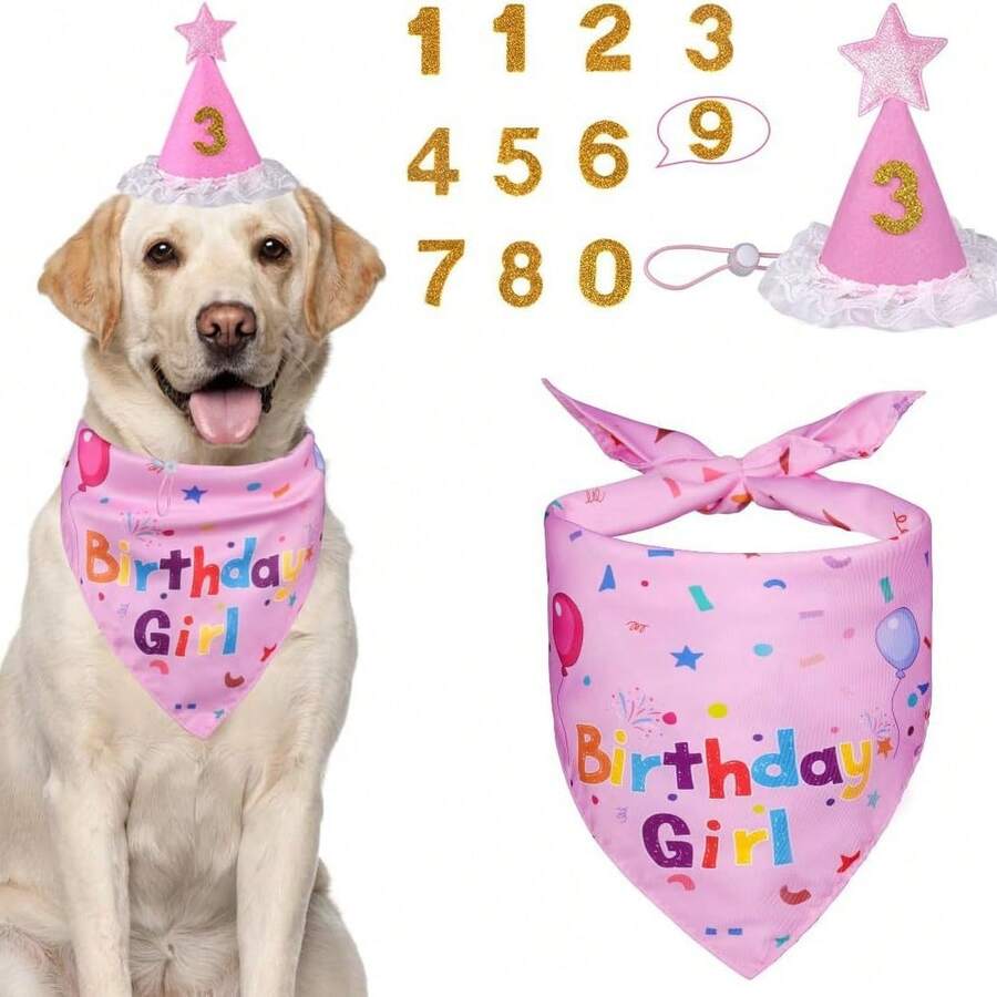 Pet Birthday Party Flag, Dog Paw, Balloon, Dog Birthday Bib, Birthday Hat, Bow Tie - Pink - View 1