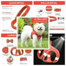 GAMUDA Small Pet Harness Collar And Leash Set, Step In No Chock No Pull Linen Fabric Soft Mesh Dog Vest Harnesses Reflective For Dogs Puppy Cats Kitten Rabbit (Orange, XXS) - Orange - View 1