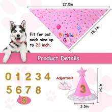 Pet Birthday Party Flag, Dog Paw, Balloon, Dog Birthday Bib, Birthday Hat, Bow Tie - Pink - View 5