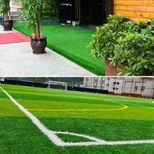 نجيلة اصطناعية للحيوانات الأليفة، مقاومة للروائح وسهلة التنظيف، خاصة لمناطق نشاط الكلاب والقطط، حصيرة نجيلة اصطناعية ناعمة للحيوانات الأليفة، عشب اصطناعي مقاوم للماء، مناسب لحمام الحيوانات الأليفة والملعب، نجيلة اصطناعية للحيوانات الأليفة متينة، عشب خارجي مقاوم للطقس، خاص لمنطقة الكلاب والفناء الخلفي، نجيلة اصطناعية صديقة للحيوانات الأليفة عالية الكثافة