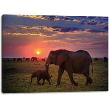 2025 Christmas Canvas Wall Art Print 12" X 16" With Timer | LED Lighted Design - Elephant African Sunset - View 1