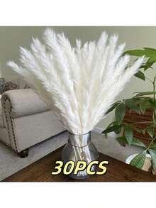20/30 piezas Ramo de Hierba de las Pampas Seca, Flores Blancas, Ramo de Estilo Bohemio para Decoración del Hogar, Flores Secas de Junco, Decoración de Habitación, Decoración del Hogar, Decoración de Dormitorio, Decoración de Boda, Suministros de Boda, Decoración de Oficina, Decoración de Cafetería, Regalo del Día de San Valentín | Halloween, Navidad, Decoraciones Navideñas, Decoración de Habitación, Decoración de Dormitorio, Regalo