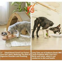 15° Tilted Stainless Steel Dog Bowl - Anti-Spill Anti-Slip Elevated Feeder, Suitable For Cats & Dogs, Ergonomic Design Promotes Healthy Eating And Digestion - Multicolor - View 10