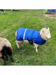 This Thick Wool-Lined Leg Warmer Provides Warmth And Cold Protection. Leg Wear Helps Improve The Survival Rate Of Newborn Animals. Suitable For Male And Female Calves, Foals, And Lambs. - Blue - View 10