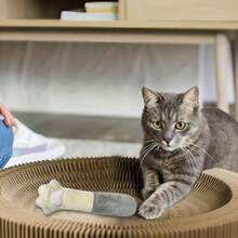 Andiker Juguete para gatos de interior 11 22 pulgadas juguete de hierba gatera de peluche con papel arrugado en el interior juguete interactivo para gatos 1 rascador de sisal para morder masticar - blanco - Ver 6