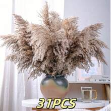 20/30 piezas Ramo de Hierba de las Pampas Seca, Flores Blancas, Ramo de Estilo Bohemio para Decoración del Hogar, Flores Secas de Junco, Decoración de Habitación, Decoración del Hogar, Decoración de Dormitorio, Decoración de Boda, Suministros de Boda, Decoración de Oficina, Decoración de Cafetería, Regalo del Día de San Valentín | Halloween, Navidad, Decoraciones Navideñas, Decoración de Habitación, Decoración de Dormitorio, Regalo