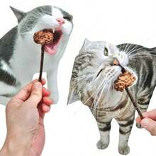 miwoowim Natural Siervine Juguete de palo para gato matatabi Lollipop Gall Fruit Chew 5.2 pulgadas cuidado dental y alivio de la ansiedad juego interactivo para mascotas - como en la foto - Ver 7