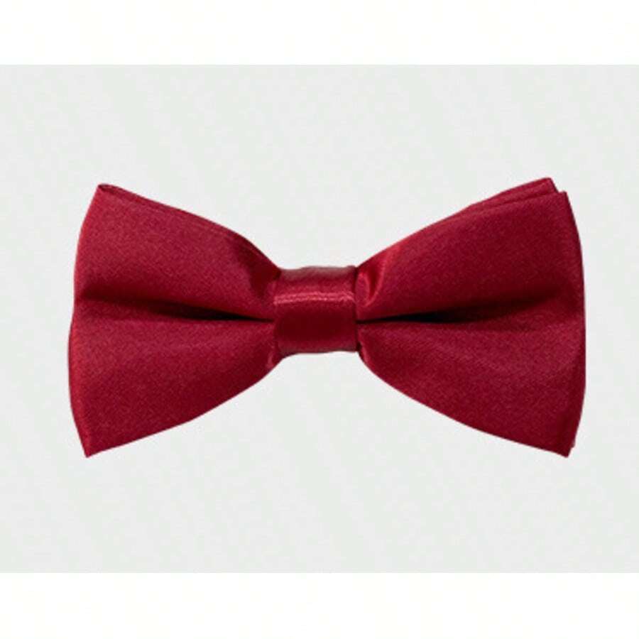 1pc Men's Business/Commute Herringbone Fabric Bow Tie