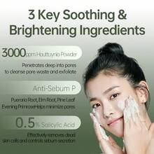 ANUA Heartleaf Quercetinol Pore Deep Cleansing Foam, Facial Cleanser, For Double Cleansing, BHA, Hyaluronic Acid, Glycerin, Face Wash, Blackhead Remover, Korean Skincare - màu xanh lá - Xem 4