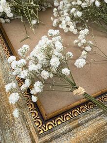 10-150g Mini Dried Baby's Breath & Other Dried Flowers - For Resin Mold Art And Crafts, Ivory White Floral Bouquet For Hair Accessories, Wedding Wreaths, Table Decor, Home Decoration